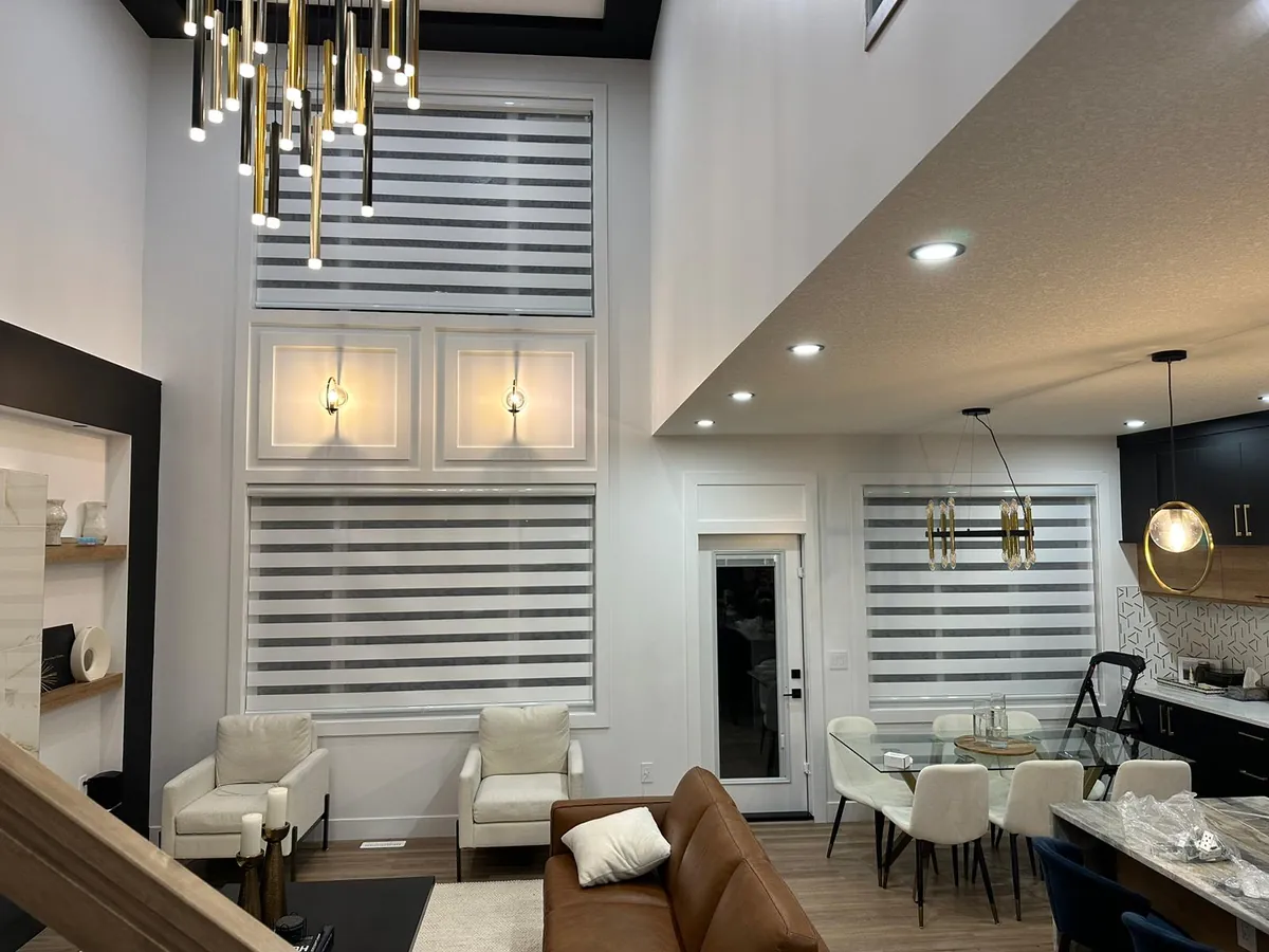 Zebra Blinds