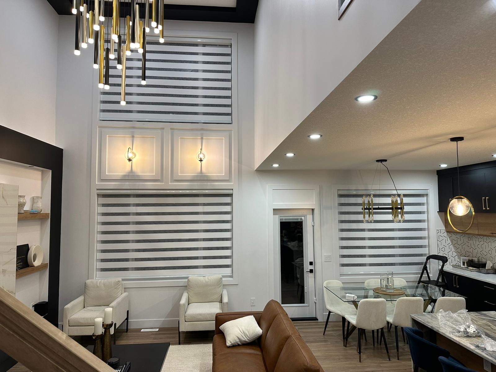 Zebra Blinds